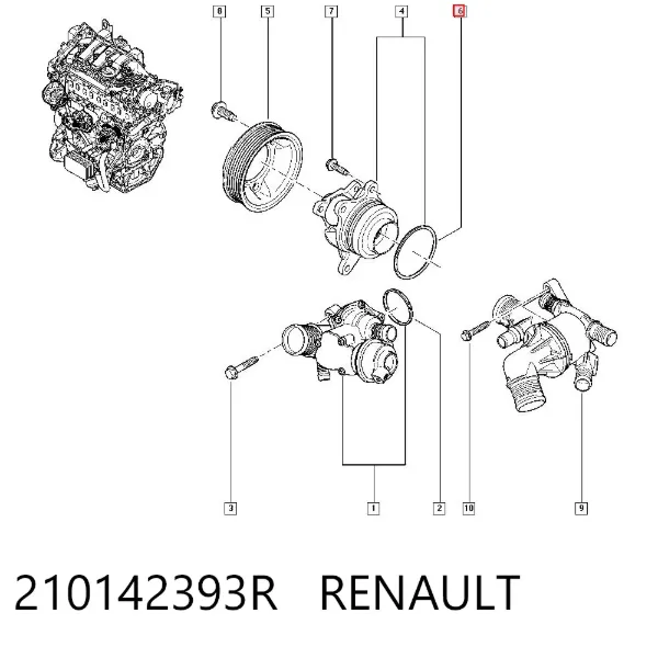 Прокладка водяної помпи 210142393R Renault (RVI)