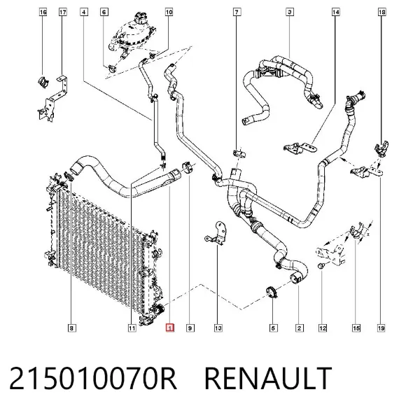 Шланг/патрубок радіатора охолодження, верхній 215010070R Renault (RVI)