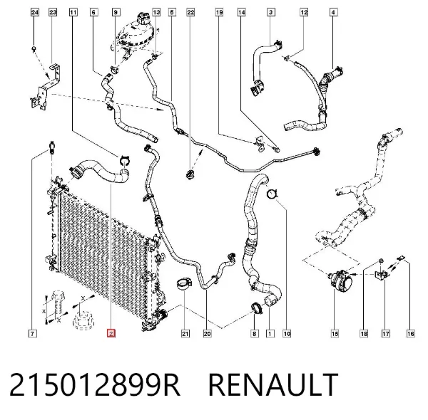 Шланг/патрубок радіатора охолодження, нижній 215012899R Renault (RVI)