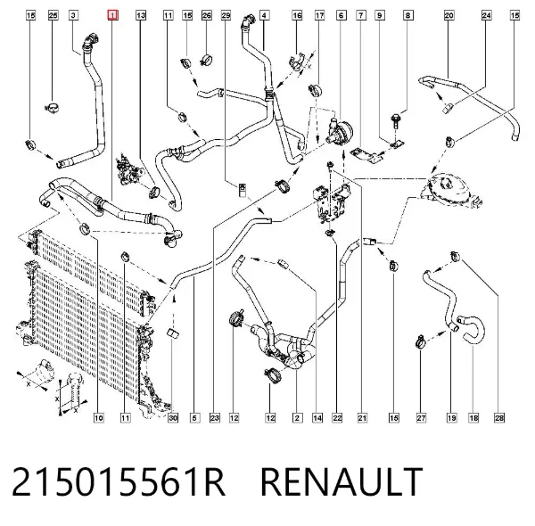  215015561R Renault (RVI)