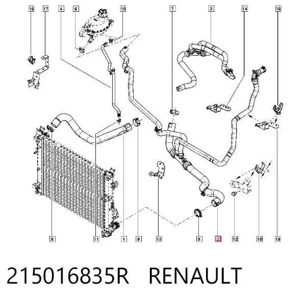 Шланг/патрубок радіатора охолодження, нижній 215016835R Renault (RVI)