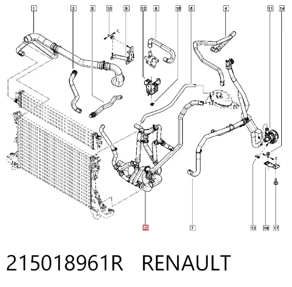 Шланг/патрубок радіатора охолодження, нижній 215018961R Renault (RVI)