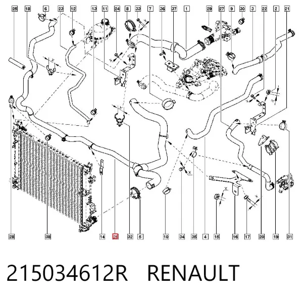 Шланг/патрубок радіатора охолодження, нижній 215034612R Renault (RVI)