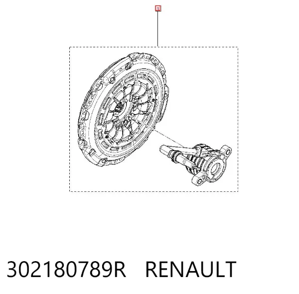  302180789R Renault (RVI)