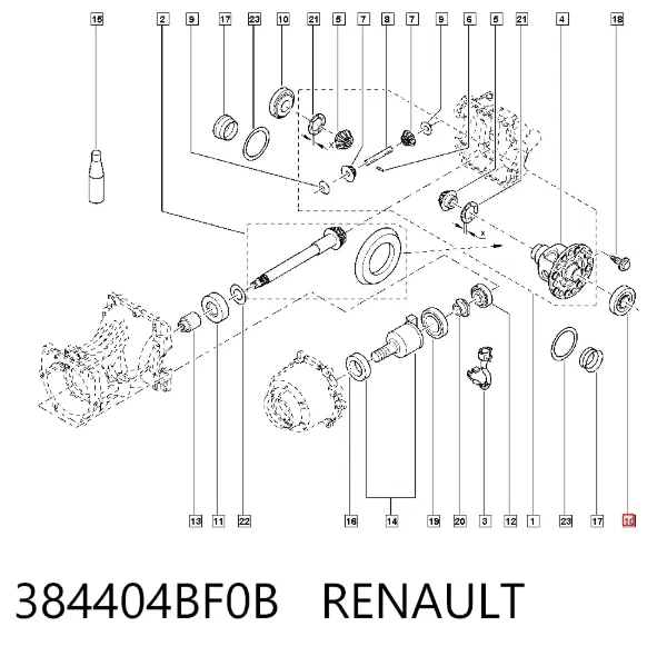 Підшипник диференціалу заднього моста 384404BF0B Renault (RVI)