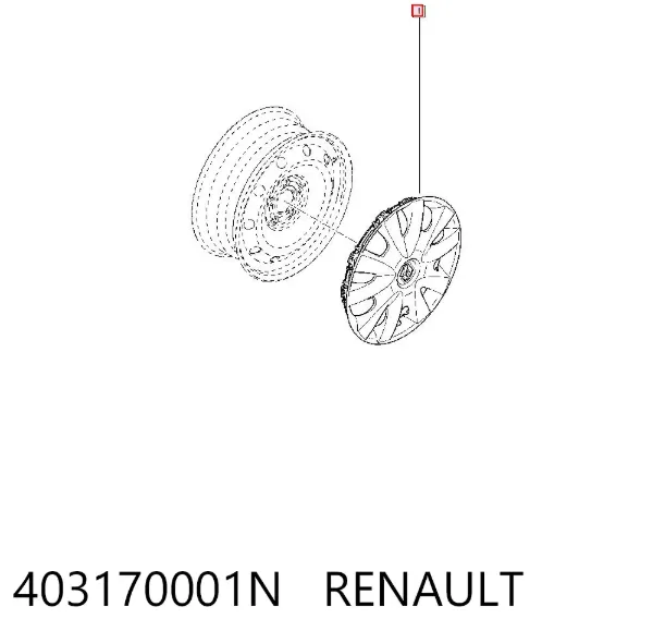 Ковпаки 403170001N Renault (RVI)