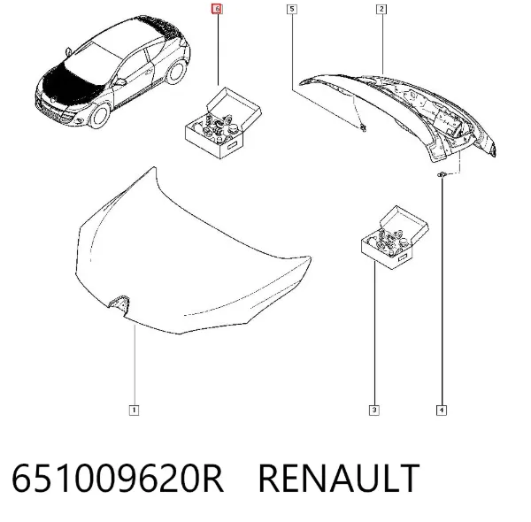  651009620R Renault (RVI)