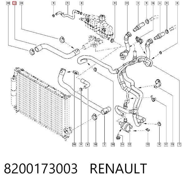 Шланг/патрубок радіатора охолодження, верхній 8200173003 Renault (RVI)