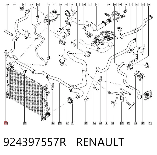  924397557R Renault (RVI)