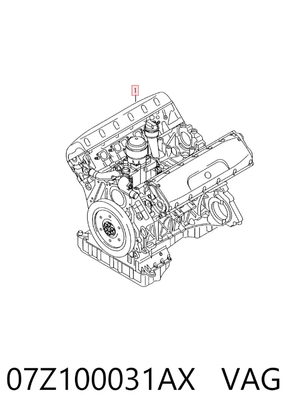 Двигун 07Z100031AX VAG