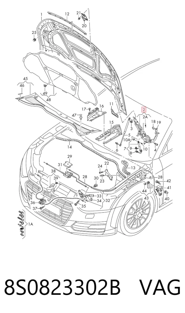 Петля капота, права 8S0823302B VAG