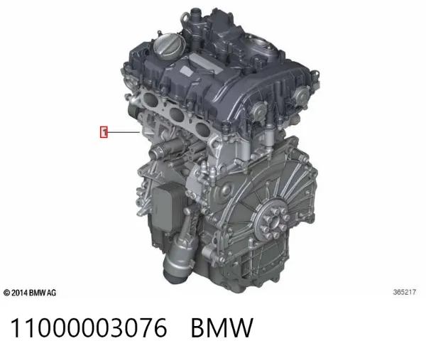 Двигун 11000003076 BMW