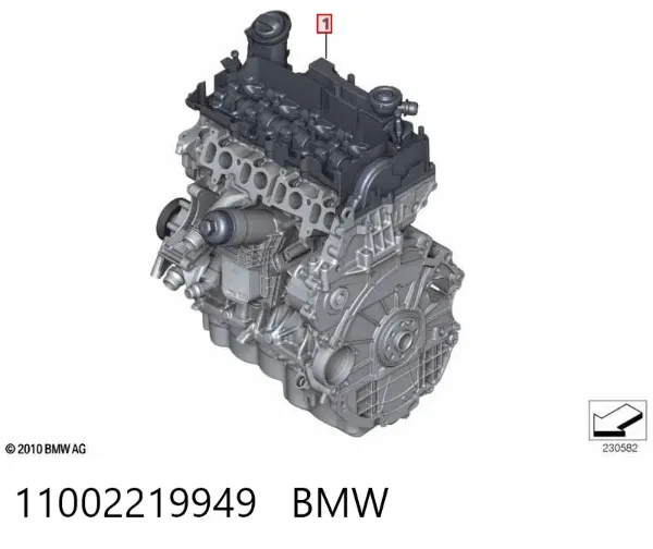 Двигун 11002219949 BMW