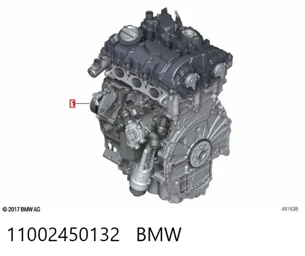 Двигун 11002450132 BMW