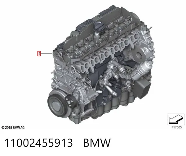 Двигун 11002455913 BMW