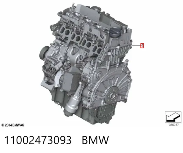 Двигун 11002473093 BMW