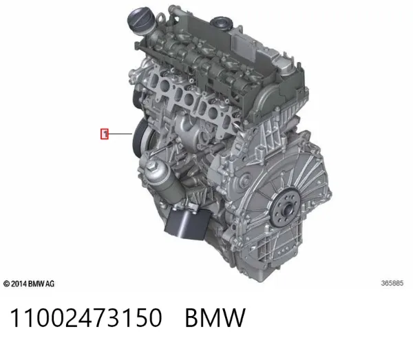 Двигун 11002473150 BMW