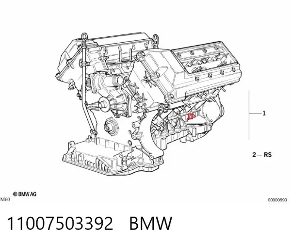 Двигун 11007503392 BMW