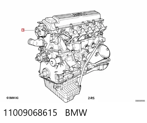 Двигун 11009068615 BMW