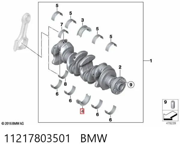Вкладиші колінвала, корінні, комплект, 1-й ремонт (+0,25) 11217803501 BMW