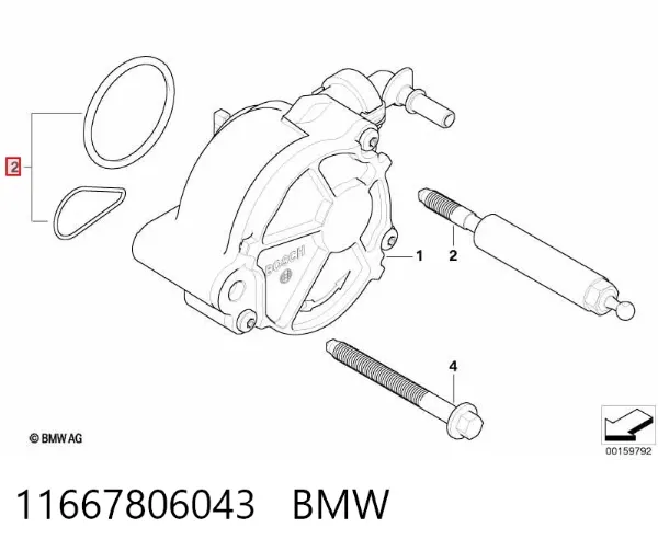  11667806043 BMW