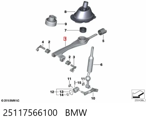  25117566100 BMW