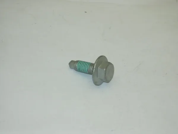  N0195306 VAG