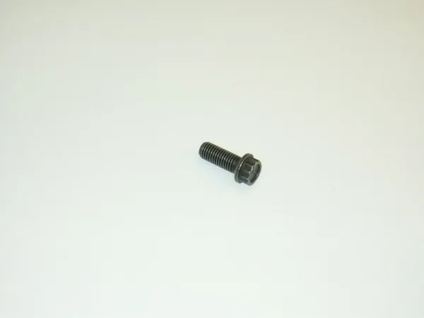 Болт кріплення корзини зчеплення N10104501 VAG