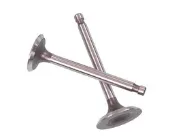 Клапан впускний