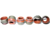 Сальник клапана (маслознімний), впуск/випуск, комплект на мотор