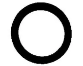 Прокладка клапанної кришки двигуна, кільце