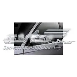 Накладка (кришка) дзеркала заднього виду, комплект J1010SA120 Subaru