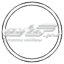 Прокладка водяної помпи 202288015 Hans Pries (Topran)