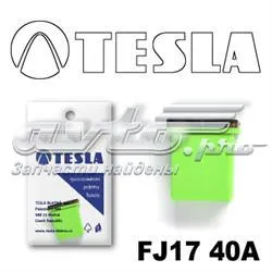Запобіжник FJ1740A Tesla