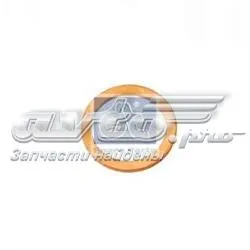 Ущільнювальне кільце, універсальне 5003062049 Renault (RVI)