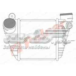 Інтеркулер 1323J81 Polcar