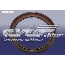 Сальник піввісі переднього моста, правою QR523T2310115 Chery