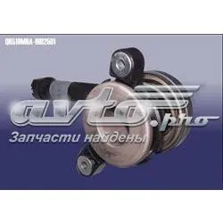 Вижимний підшипник QR519MHA1602501 Chery