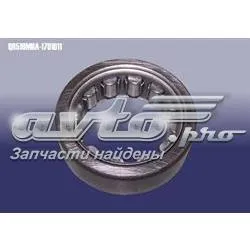  QR519MHA1701611 Chery