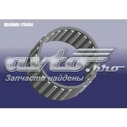  QR519MHA1701404 Chery