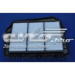Повітряний фільтр PAC024 Parts-Mall