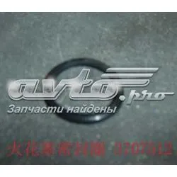  1003012E00 Great Wall