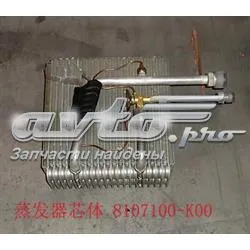 Випаровувач кондиціонера 8107100K00 Great Wall