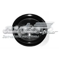 Шків насосу гідропідсилювача керма (ГПК) SS1079 DP Group