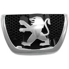 9800313880 PEUGEOT