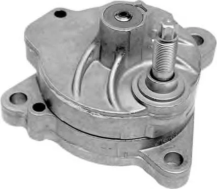 Натягувач приводного ременя 55125 Ruville