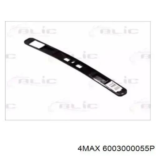  6003000055P 4max