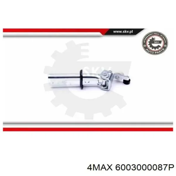  6003000087P 4max