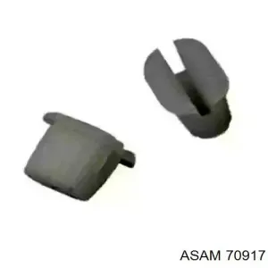 70917 ASAM