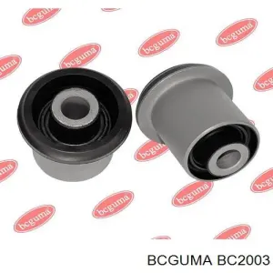 BC2003 BCGUMA